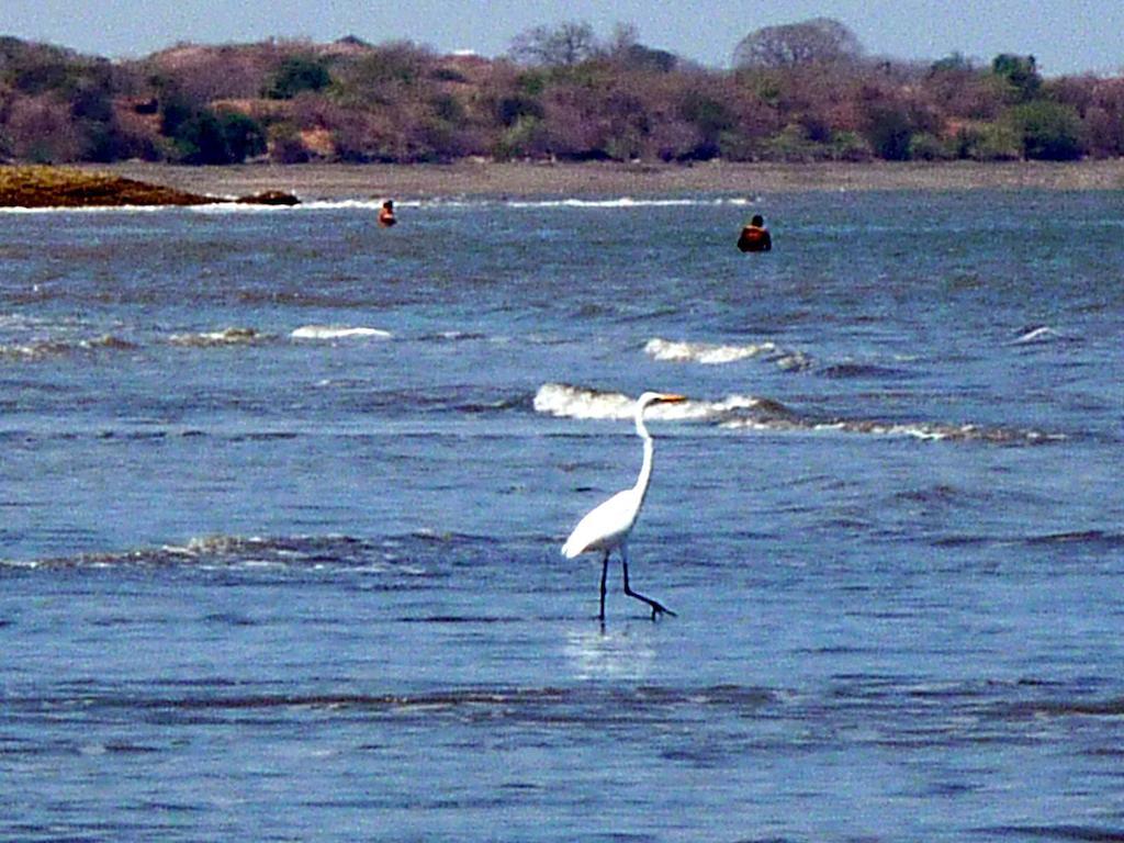 Villa Pelicano Las Tablas Bagian luar foto